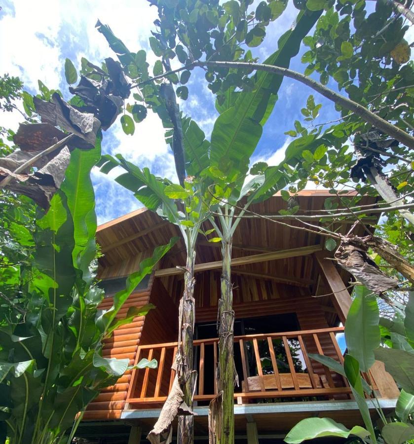 Arenal Rustic Lodge La Fortuna Extérieur photo