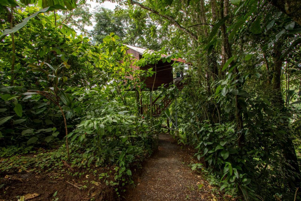 Arenal Rustic Lodge La Fortuna Extérieur photo