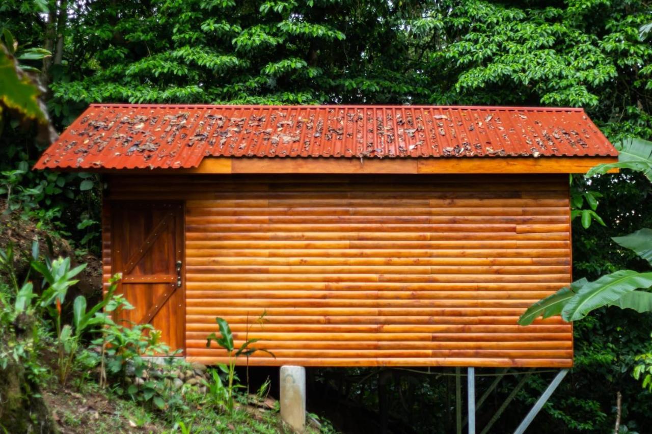 Arenal Rustic Lodge La Fortuna Extérieur photo