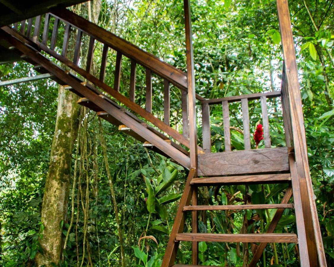 Arenal Rustic Lodge La Fortuna Extérieur photo