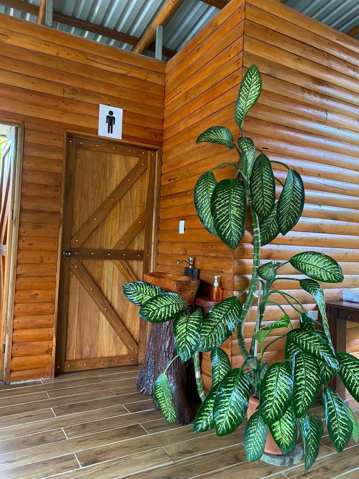 Arenal Rustic Lodge La Fortuna Extérieur photo