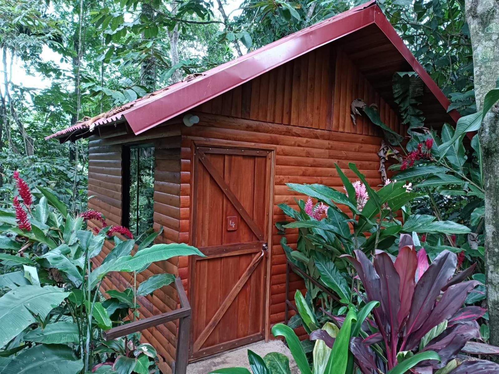 Arenal Rustic Lodge La Fortuna Extérieur photo