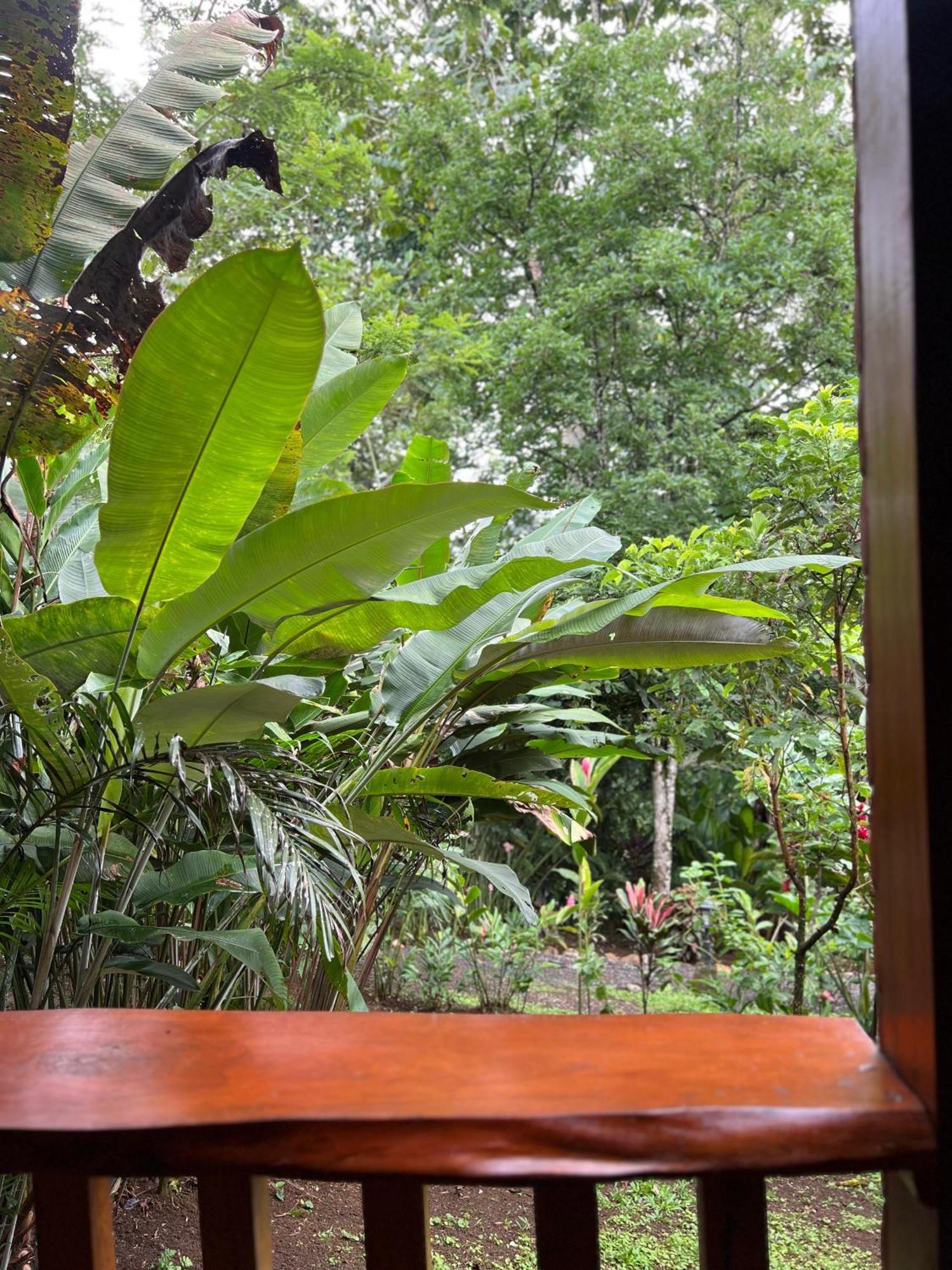 Arenal Rustic Lodge La Fortuna Extérieur photo