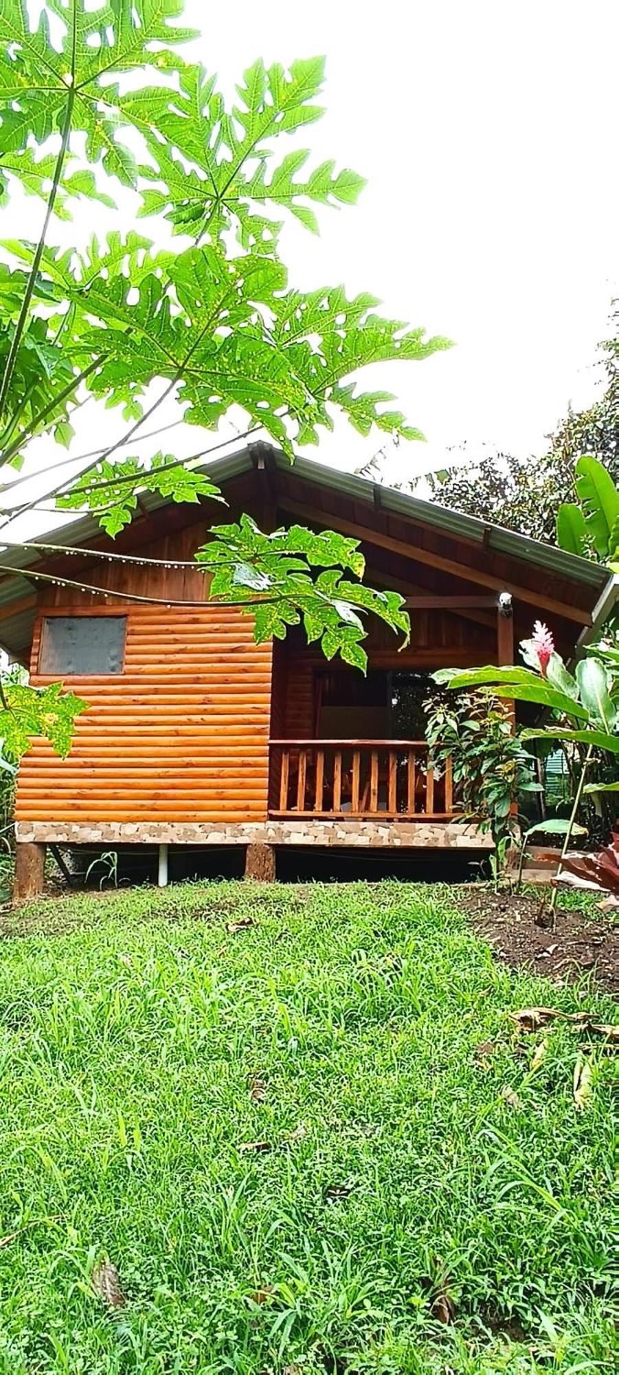 Arenal Rustic Lodge La Fortuna Extérieur photo