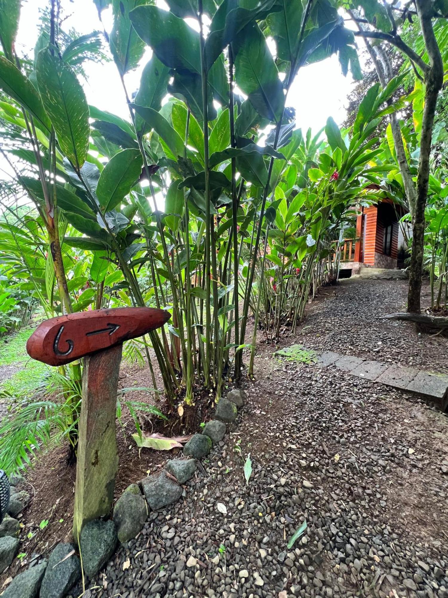 Arenal Rustic Lodge La Fortuna Extérieur photo