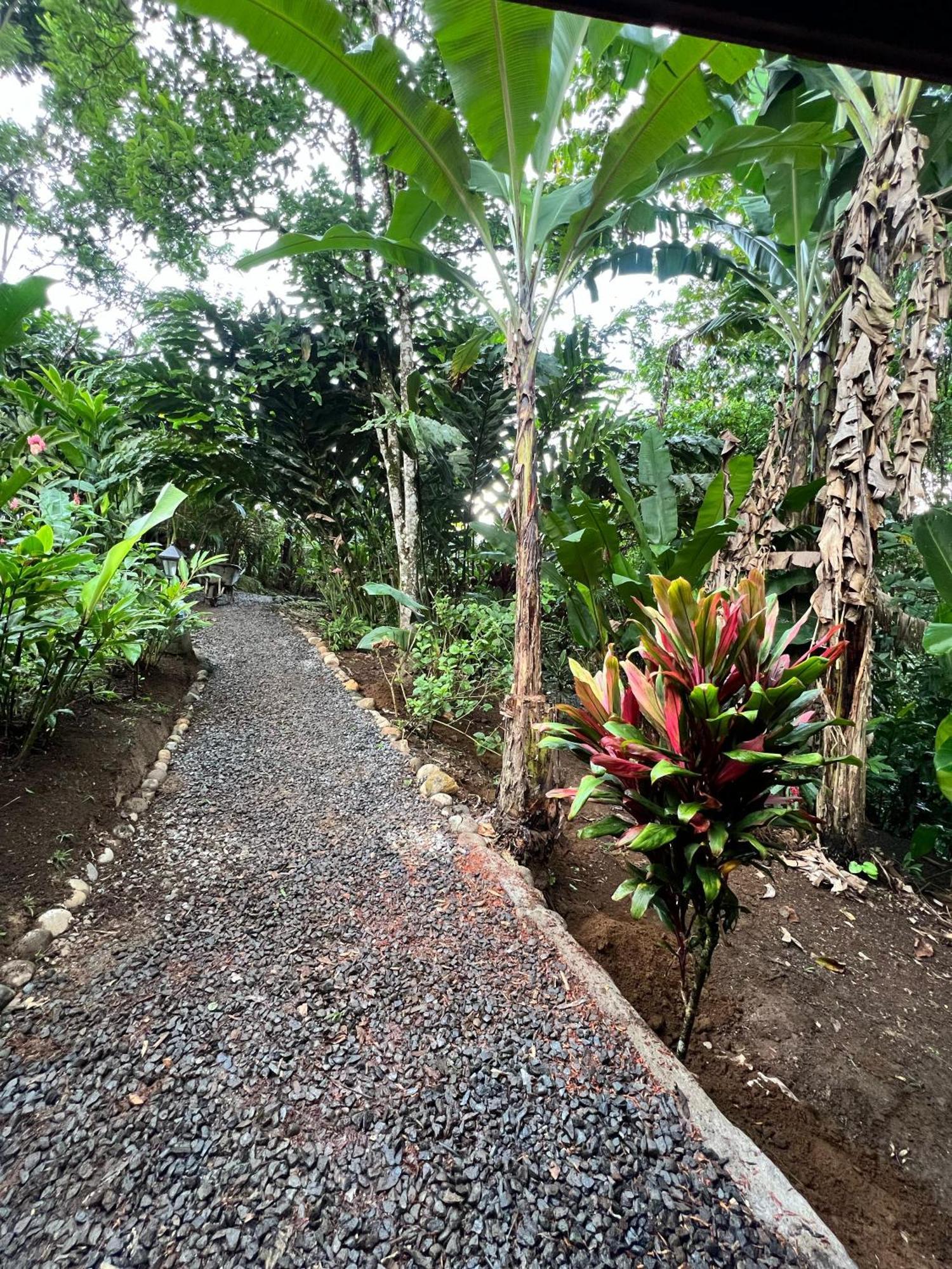 Arenal Rustic Lodge La Fortuna Extérieur photo